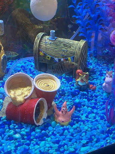 Pet Store «Pet Connection», reviews and photos, 29551 Five Mile Road, Livonia, MI 48154, USA