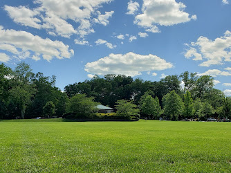 Veteran's Park Turf Field
