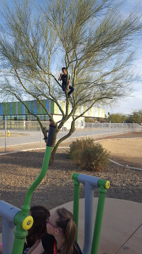 Park «Dust Devil Park», reviews and photos, 10645 W Camelback Rd, Glendale, AZ 85307, USA