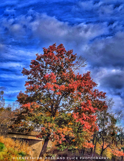 Amusement Center «Turkey Hill Experience», reviews and photos, 301 Linden St, Columbia, PA 17512, USA