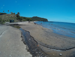 Foto av Coconut Beach bekvämlighetsområde