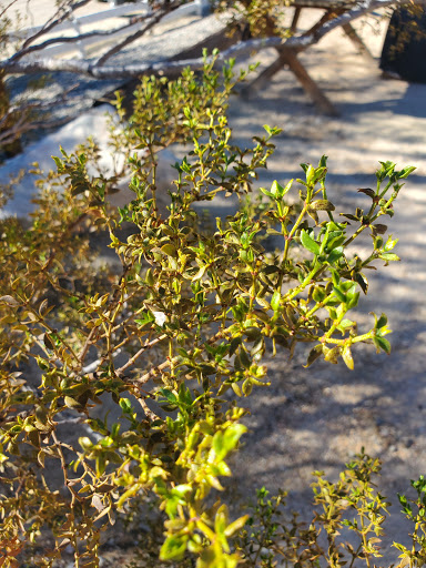 Tourist Attraction «Desert Adventures», reviews and photos, 74794 Lennon Pl, Palm Desert, CA 92260, USA