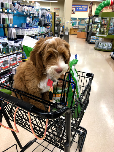 Pet Supply Store «Petco Animal Supplies», reviews and photos, 1015 Fording Island Rd, Bluffton, SC 29910, USA