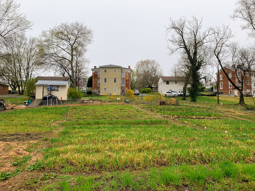 The Haven Garden – IRC New Roots