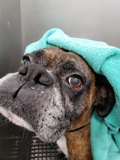 Pet Supply Store «Pet Supplies Plus», reviews and photos, 2250 N Rock Rd Ste. 110, Wichita, KS 67226, USA