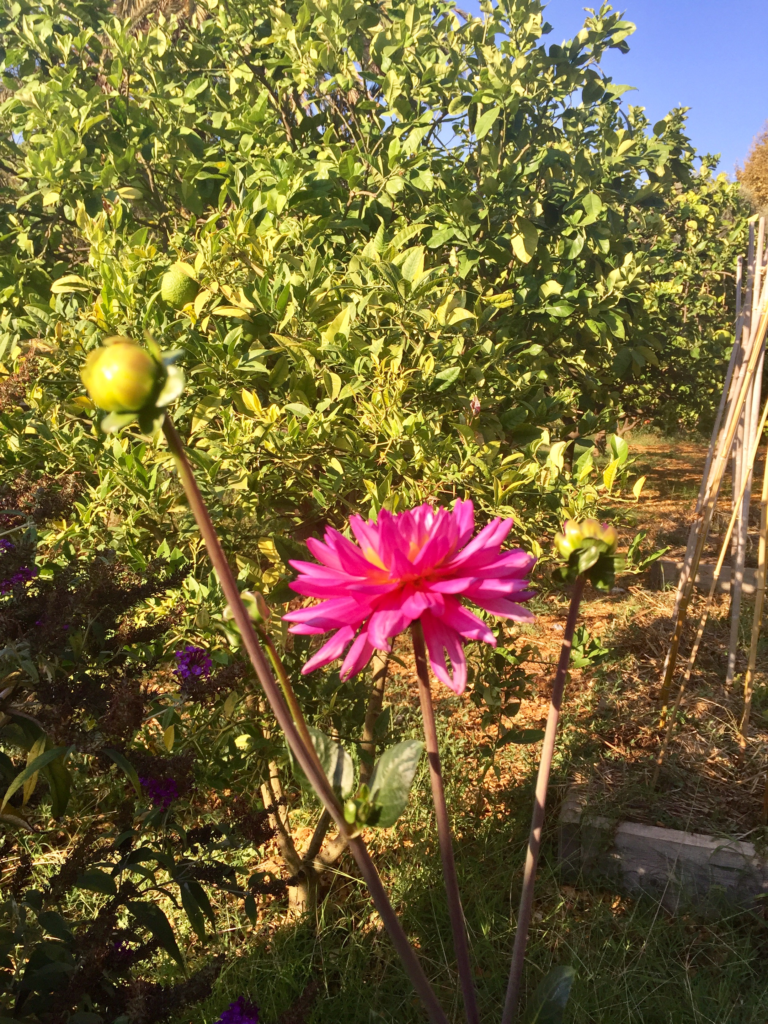 Photo n° 9 de l'avis de khaled.o fait le 05/09/2017 à 16:14