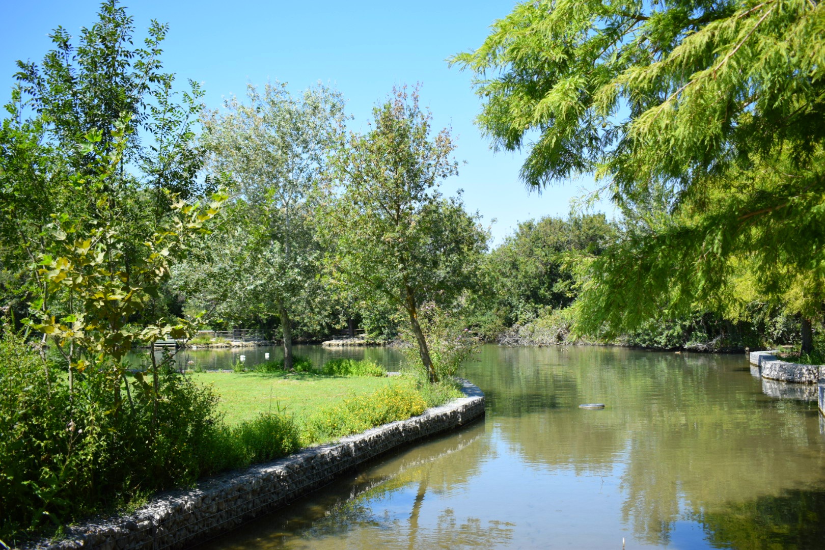 Photo n° 7 de l'avis de Zaza.e fait le 19/08/2021 à 16:53