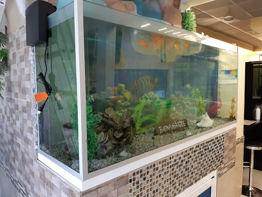 Kalupia Fish Store 504