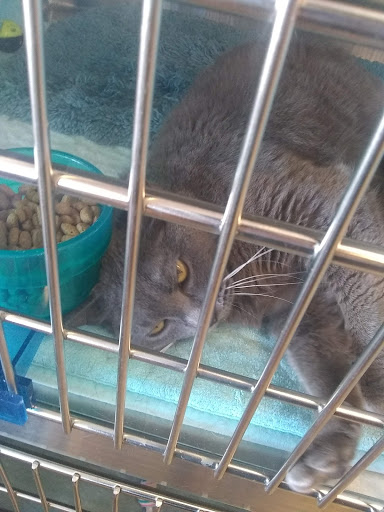 Pet Supply Store «Petsense Cleburne», reviews and photos, 1301 W Henderson St, Cleburne, TX 76033, USA