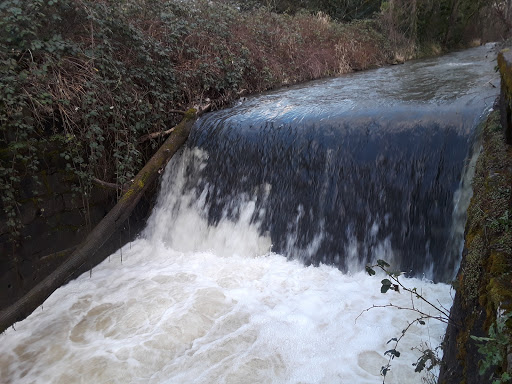 Spring Water Trail