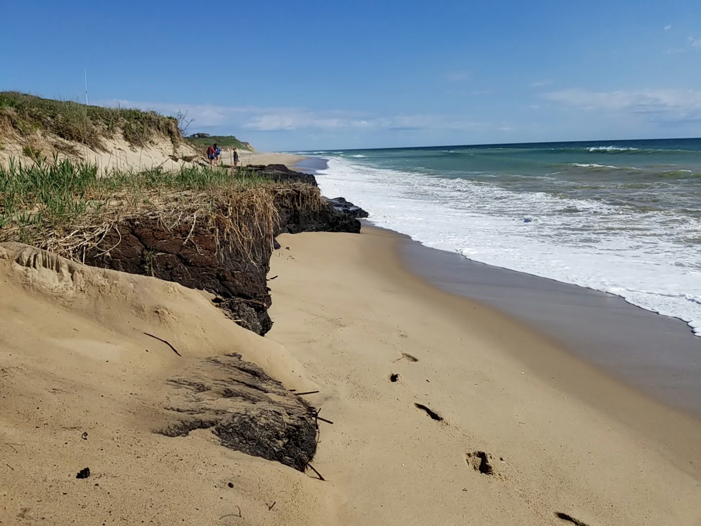 Coast Guard beach'in fotoğrafı - tatil için iyi evcil hayvan dostu nokta