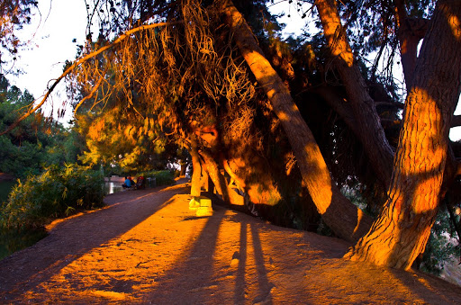 Park «Ernest E. Debs Regional Park», reviews and photos, 4235 Monterey Rd, Los Angeles, CA 90032, USA