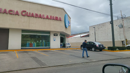 Farmacia Guadalajara Suc. 21 De Marzo