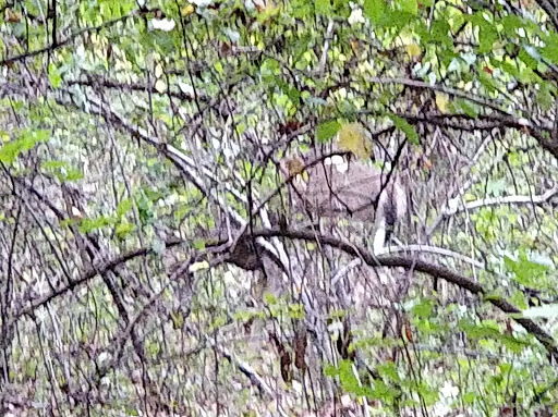 Park «Edison State Park», reviews and photos, 37 Christie St, Edison, NJ 08820, USA