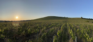 Photo n°77 de Calsis Restaurant à Aÿ-Champagne ()