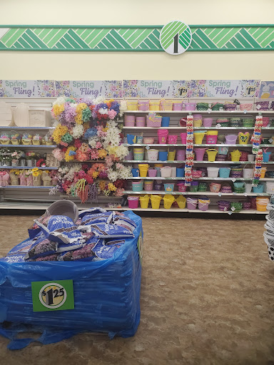 Dollar Store «Dollar Tree», reviews and photos, 1900 Rockbridge Rd SW h, Stone Mountain, GA 30087, USA