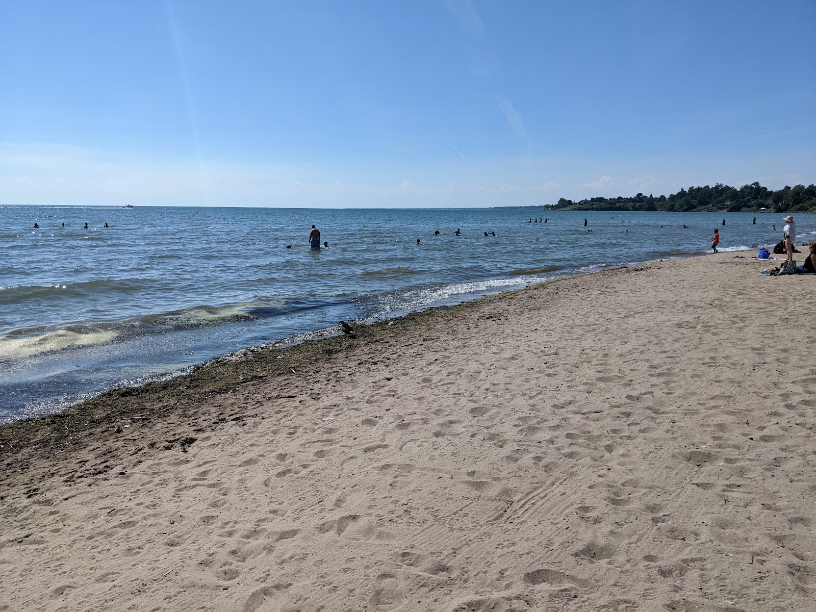 Foto av Seacliff beach med beige sand yta