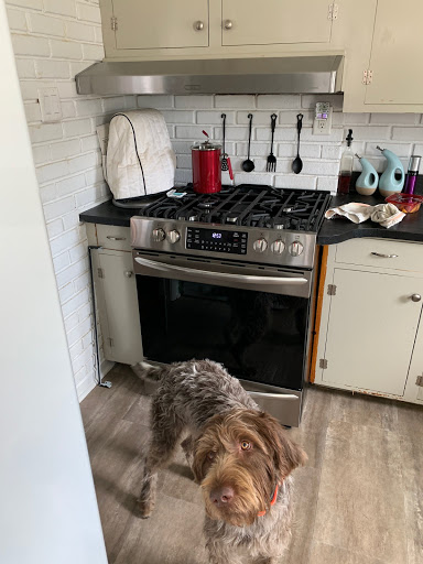 Appliance Parts Supplier «L H Brubaker», reviews and photos, 896 Plaza Blvd, Lancaster, PA 17601, USA