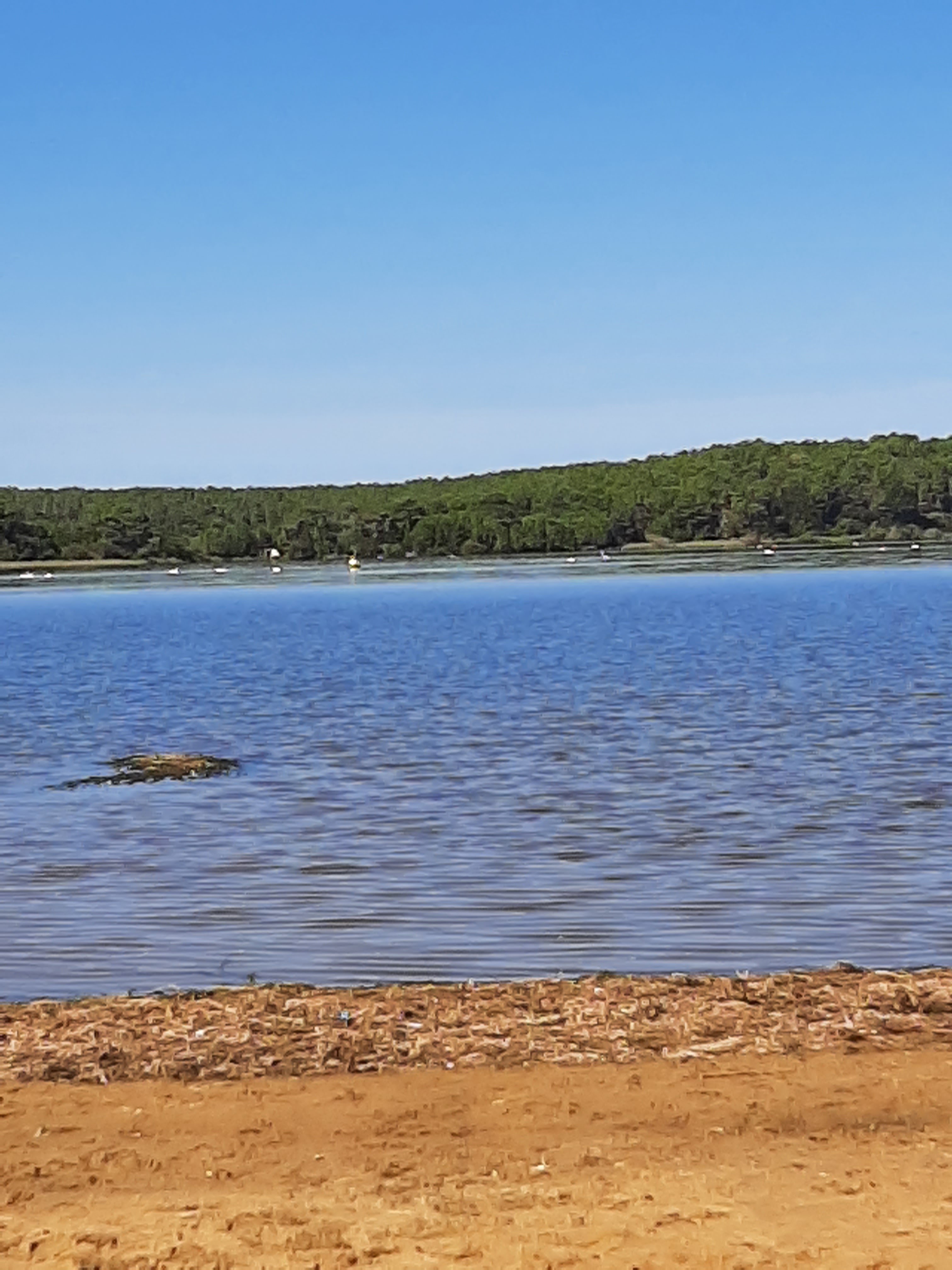 Photo n° 2 de l'avis de Fernandez.o fait le 20/09/2022 à 14:45