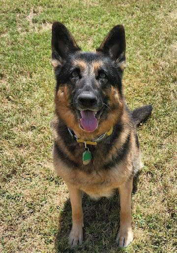 Liberty Stay and Play, LLC