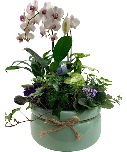 Florist «Adrian Durban Florist», reviews and photos, 3401 Clifton Ave, Cincinnati, OH 45220, USA