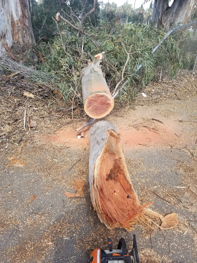 Golf Course «Fairmount Golf Course», reviews and photos, 2681 Dexter Dr, Riverside, CA 92501, USA