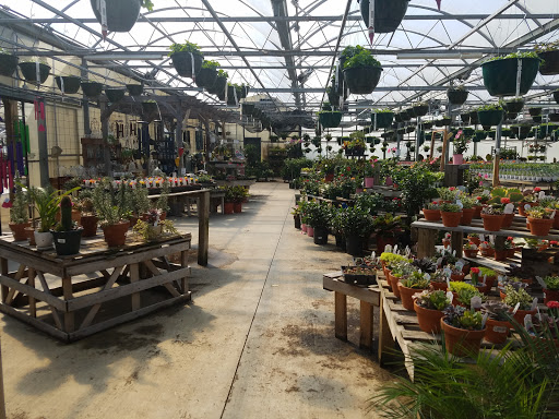 Dill's Greenhouse