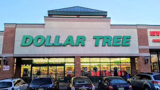 Dollar Store «Dollar Tree», reviews and photos, 421 Valley Brook Ave, Lyndhurst, NJ 07071, USA
