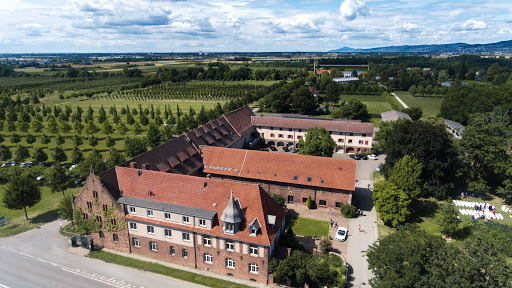 Low-Cost-Hochzeiten Mannheim