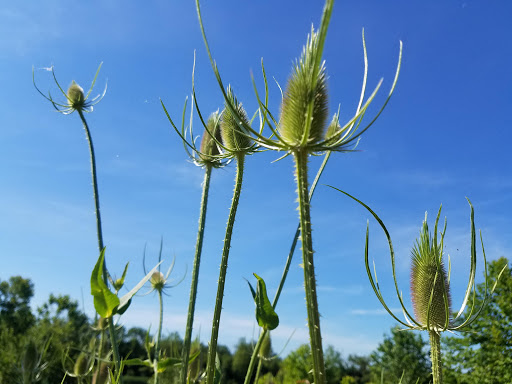 Park «Founders Park», reviews and photos, 11675 Hazel Dell Pkwy, Carmel, IN 46033, USA