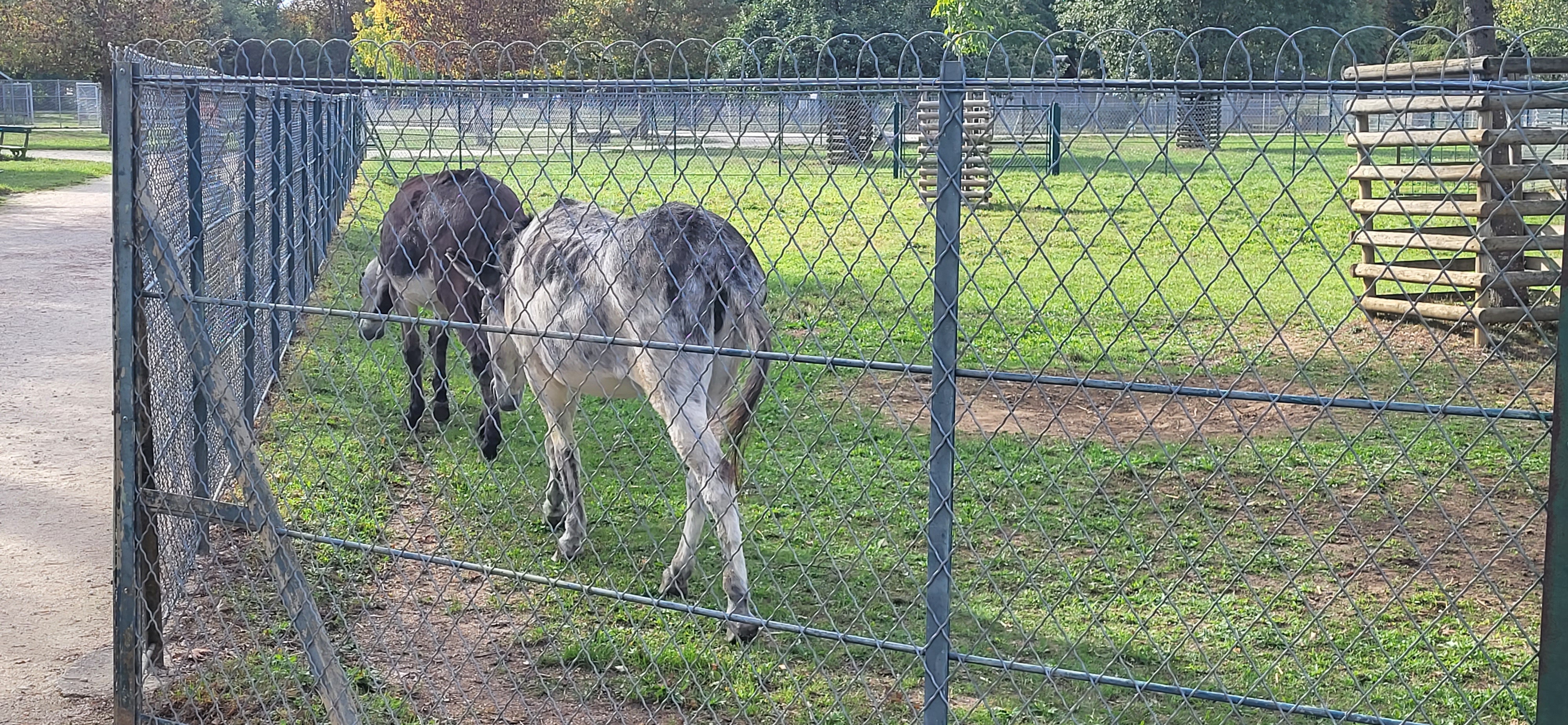 Photo n° 1 de l'avis de kinder.e fait le 29/09/2023 à 14:50