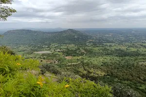Devarayanadurga Hills image