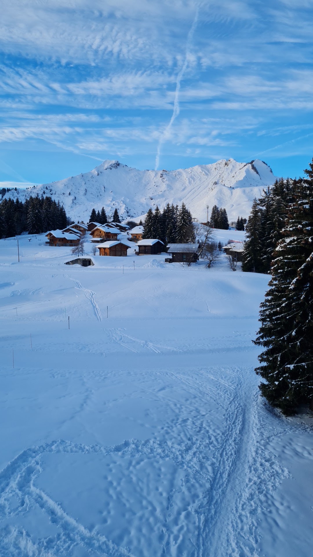 Photo n° 1 de l'avis de Sylvain.a fait le 03/02/2022 à 07:37