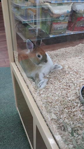 Pet Supply Store «Pet Supermarket», reviews and photos, 4445 E Bay Dr, Clearwater, FL 33764, USA