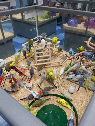 Pet Store «Petland Fairfax», reviews and photos, 9404 Main Street, Fairfax, VA 22031, USA