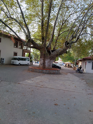 Cennet Evler Kafe Restaurant