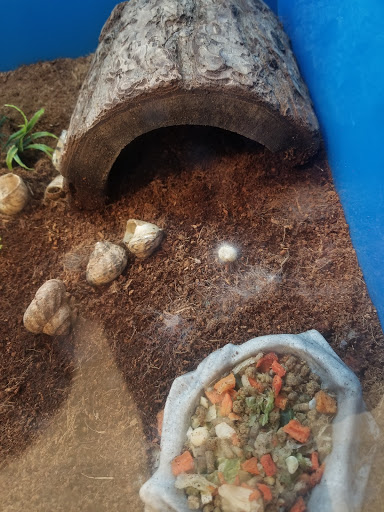 Pet Supply Store «PetSmart», reviews and photos, 7616 Denton Hwy #532, Watauga, TX 76148, USA