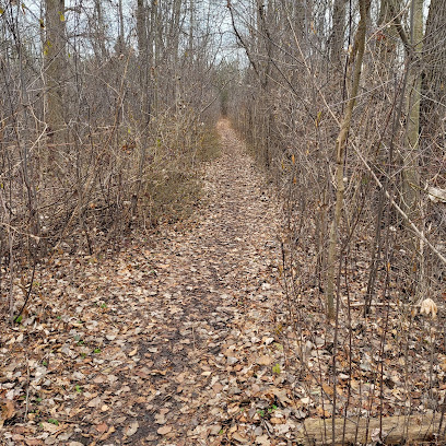 Arboretum South Access Trail