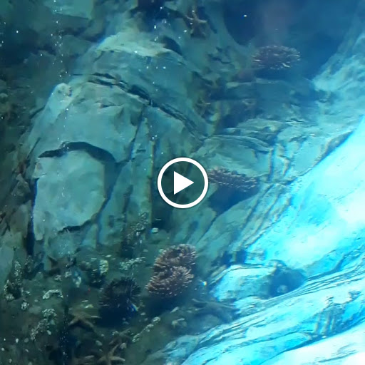 Zoo «Detroit Zoo», reviews and photos, 8450 W 10 Mile Rd, Royal Oak, MI 48067, USA