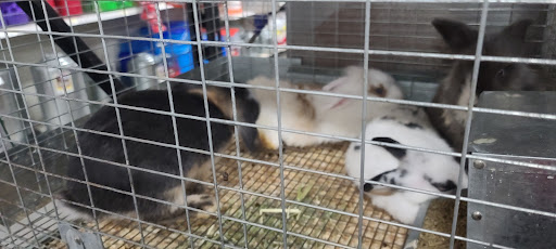 Department Store «Rural King», reviews and photos, 801 Cr-1510-10, Owensboro, KY 42303, USA