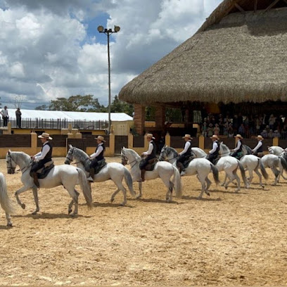 Escuela de Equitación Lusitania
