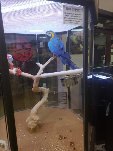 Pet Store «Wet Pets And Friends», reviews and photos, 3695 Washington Rd, Canonsburg, PA 15317, USA