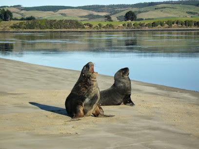 ToMyDoor Dunedin