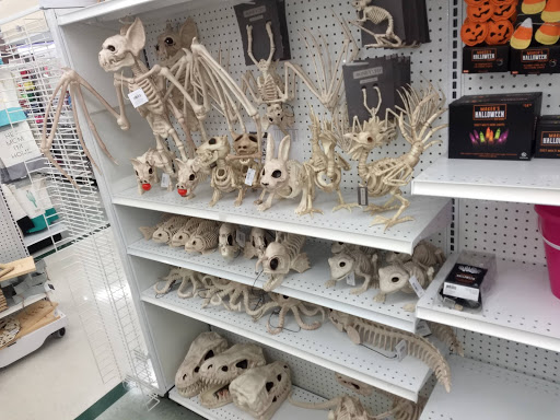 Fabric Store «Jo-Ann Fabrics and Crafts», reviews and photos, 2088 Gallatin Pike N, Madison, TN 37115, USA