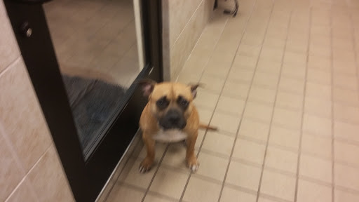 Pet Supply Store «Pet Supplies Plus», reviews and photos, 1616 Precinct Line Rd, Hurst, TX 76054, USA