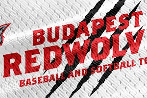 Budapest RedWolves Baseball & Softball Park image