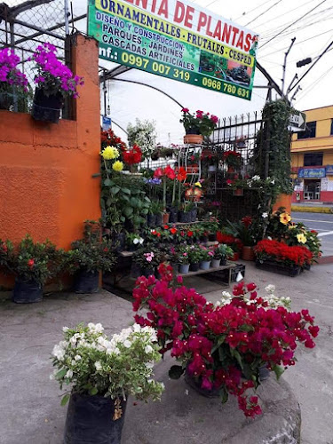 Opiniones de Viveros “El Paraíso” en Santo Domingo de los Colorados - Centro de jardinería