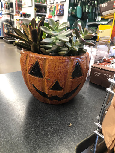 Hardware Store «Ace Hardware», reviews and photos, 1450 W Horizon Ridge Pkwy #420, Henderson, NV 89012, USA