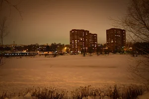 Berezovaya Roshcha image