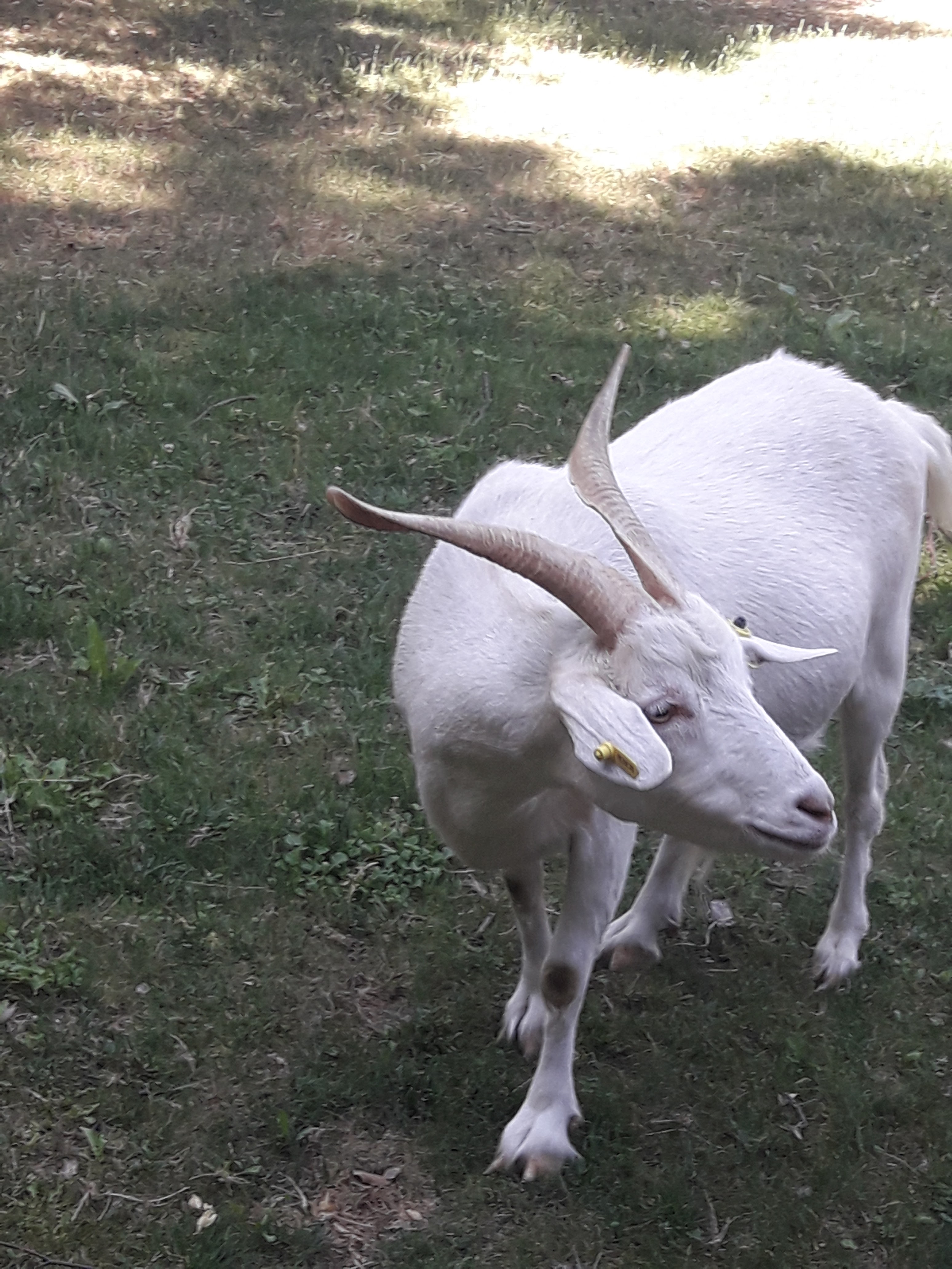 Photo n° 3 de l'avis de Lionel.a fait le 29/06/2019 à 10:44